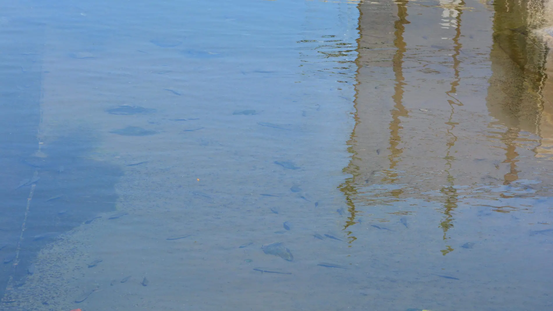 Ejidatarios piden al gobierno del estado que ya no manden agua a Baja California, debido a que en ese estado ya aprobaron la construcción de desaladoras VF (3)